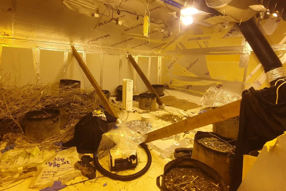 Cannabis with £20k street value seized in Westcliff drugs raid this morning